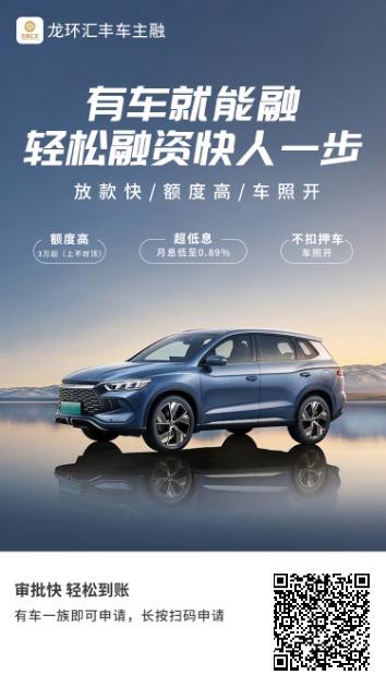 龙环汇丰车主融